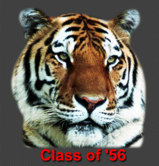 tiger | fleetwood area historical society